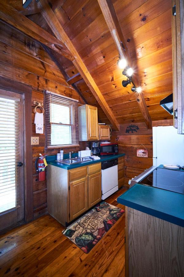 Gatlinburg Area Hottub Cabin - Ladyslipper Sevierville Buitenkant foto