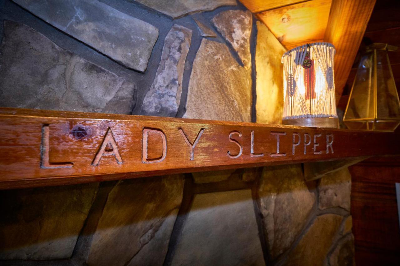 Gatlinburg Area Hottub Cabin - Ladyslipper Sevierville Buitenkant foto